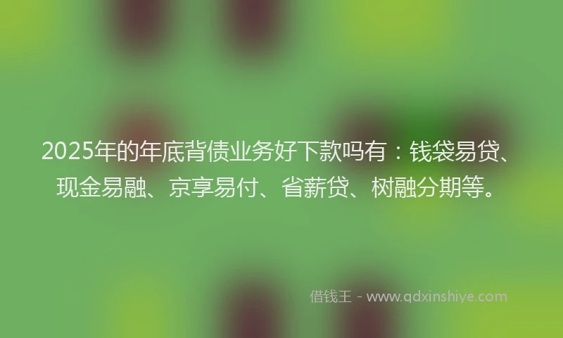 2025年的年底背债业务好下款吗有：钱袋易贷、现金易融、京享易付、省薪贷、树融分期等。