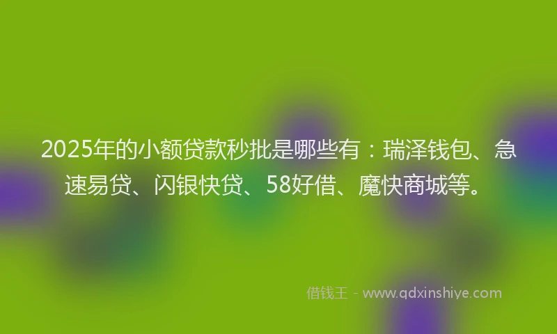 2025年的小额贷款秒批是哪些有：瑞泽钱包、急速易贷、闪银快贷、58好借、魔快商城等。