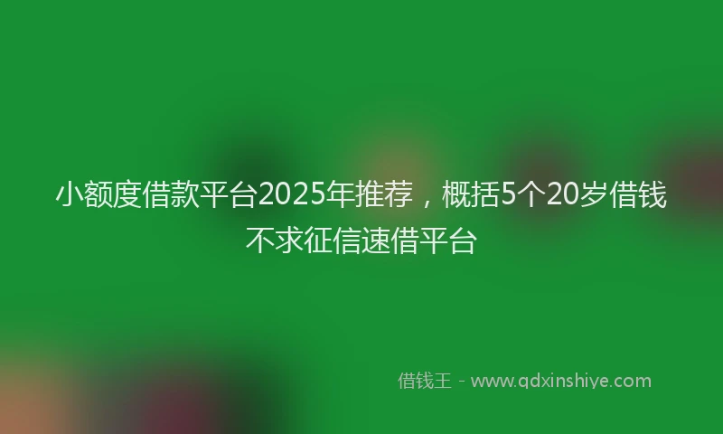 小额度借款平台2025年推荐，概括5个20岁借钱不求征信速借平台