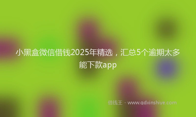 小黑盒微信借钱2025年精选，汇总5个逾期太多能下款app
