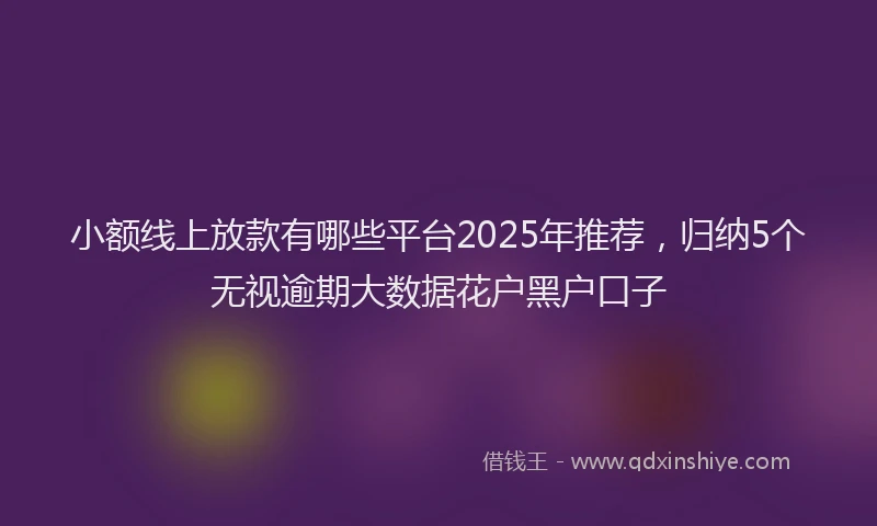 小额线上放款有哪些平台2025年推荐，归纳5个无视逾期大数据花户黑户口子