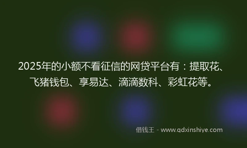2025年的小额不看征信的网贷平台有：提取花、飞猪钱包、享易达、滴滴数科、彩虹花等。