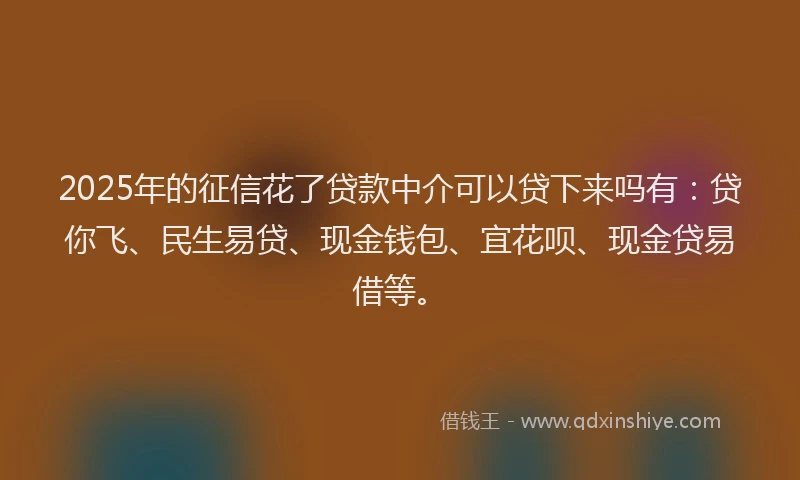 2025年的征信花了贷款中介可以贷下来吗有：贷你飞、民生易贷、现金钱包、宜花呗、现金贷易借等。