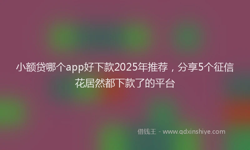 小额贷哪个app好下款2025年推荐，分享5个征信花居然都下款了的平台