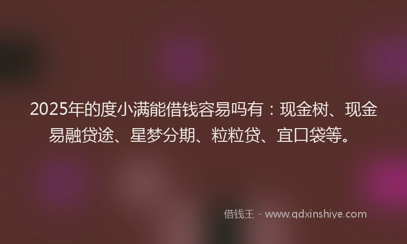 2025年的度小满能借钱容易吗有：现金树、现金易融贷途、星梦分期、粒粒贷、宜口袋等。