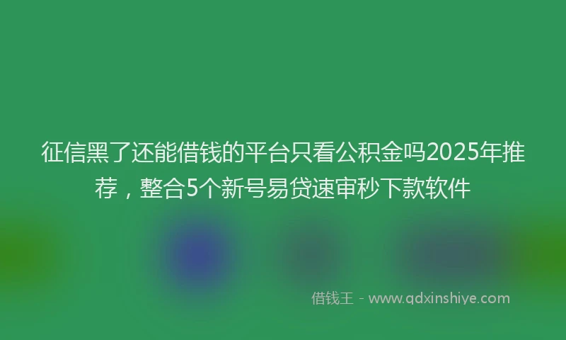 征信黑了还能借钱的平台只看公积金吗2025年推荐，整合5个新号易贷速审秒下款软件