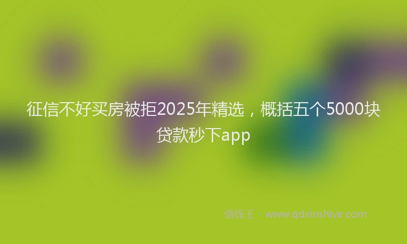 征信不好买房被拒2025年精选，概括五个5000块贷款秒下app
