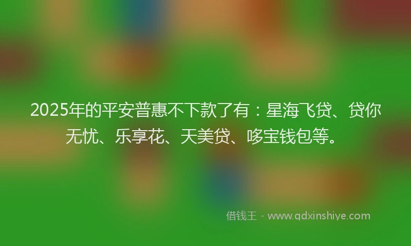 2025年的平安普惠不下款了有：星海飞贷、贷你无忧、乐享花、天美贷、哆宝钱包等。