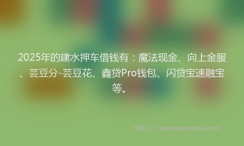 2025年的建水押车借钱有：魔法现金、向上金服、芸豆分-芸豆花、鑫贷Pro钱包、闪贷宝速融宝等。