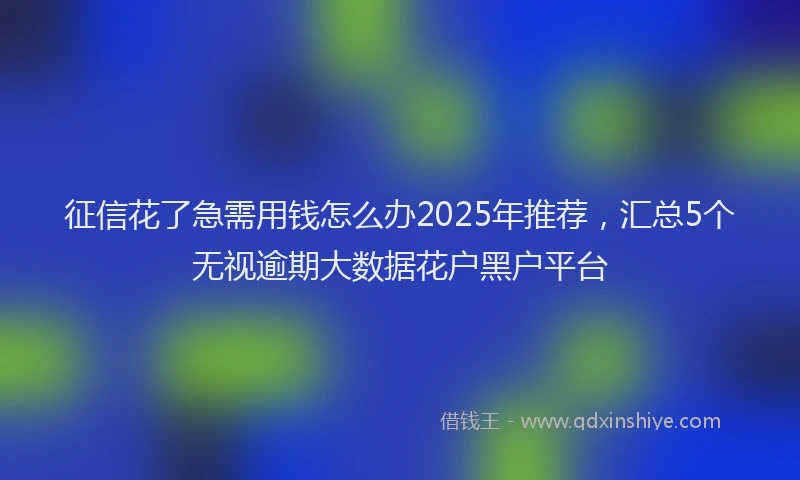 征信花了急需用钱怎么办2025年推荐，汇总5个无视逾期大数据花户黑户平台