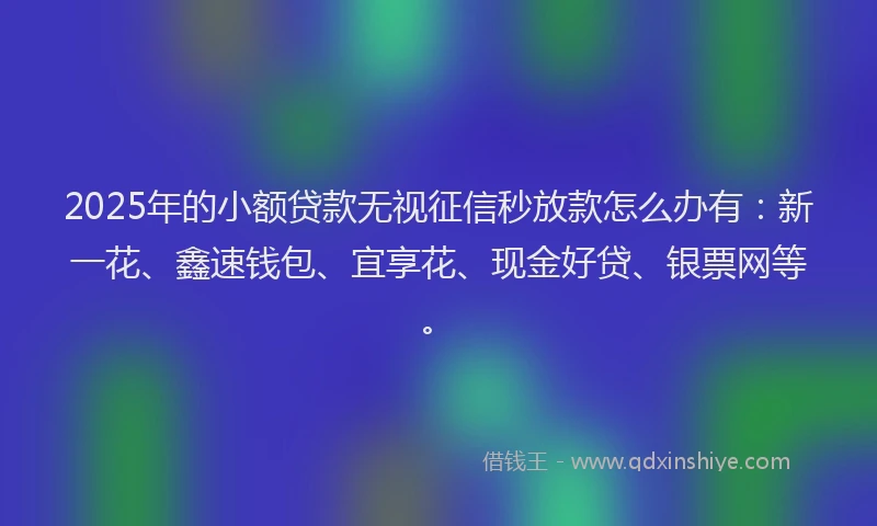 2025年的小额贷款无视征信秒放款怎么办有：新一花、鑫速钱包、宜享花、现金好贷、银票网等。