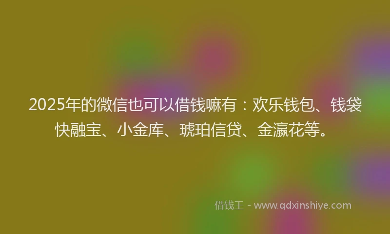 2025年的微信也可以借钱嘛有：欢乐钱包、钱袋快融宝、小金库、琥珀信贷、金瀛花等。