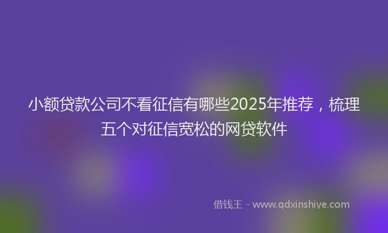 小额贷款公司不看征信有哪些2025年推荐，梳理五个对征信宽松的网贷软件