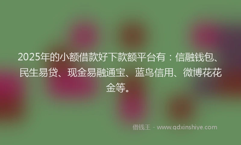 2025年的小额借款好下款额平台有：信融钱包、民生易贷、现金易融通宝、蓝鸟信用、微博花花金等。