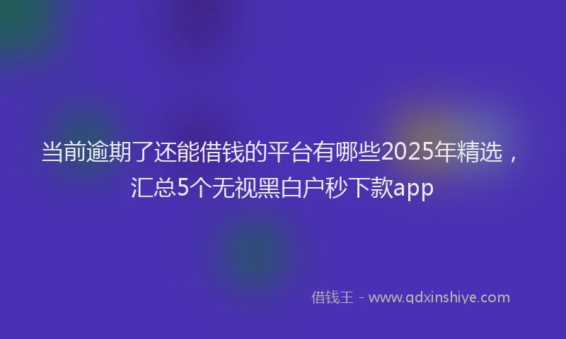 当前逾期了还能借钱的平台有哪些2025年精选，汇总5个无视黑白户秒下款app
