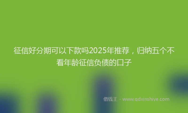 征信好分期可以下款吗2025年推荐，归纳五个不看年龄征信负债的口子