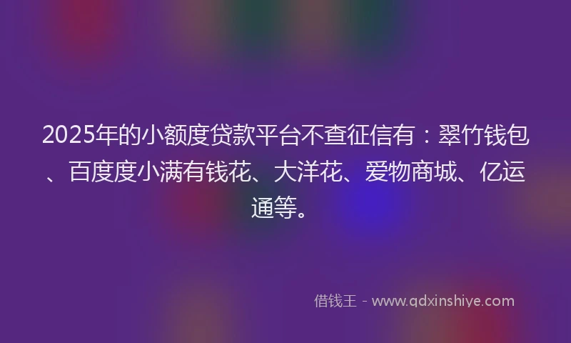 2025年的小额度贷款平台不查征信有：翠竹钱包、百度度小满有钱花、大洋花、爱物商城、亿运通等。