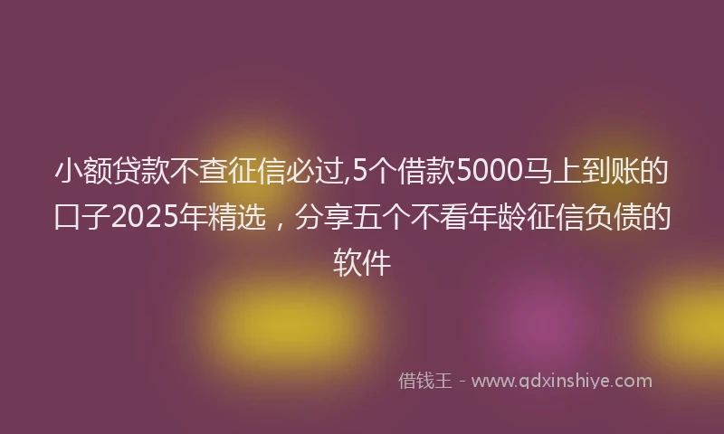 小额贷款不查征信必过,5个借款5000马上到账的口子2025年精选，分享五个不看年龄征信负债的软件