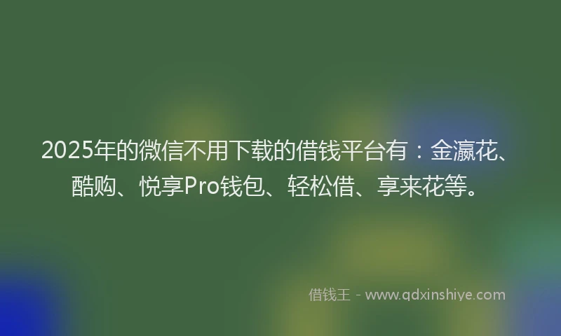 2025年的微信不用下载的借钱平台有：金瀛花、酷购、悦享Pro钱包、轻松借、享来花等。