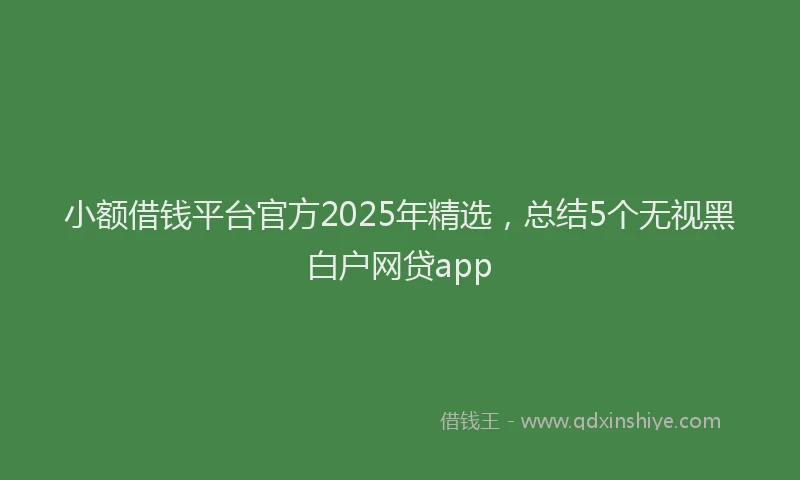 小额借钱平台官方2025年精选，总结5个无视黑白户网贷app