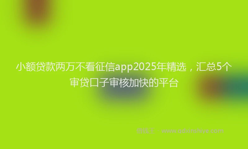 小额贷款两万不看征信app2025年精选，汇总5个审贷口子审核加快的平台