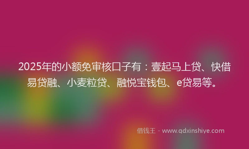 2025年的小额免审核口子有：壹起马上贷、快借易贷融、小麦粒贷、融悦宝钱包、e贷易等。
