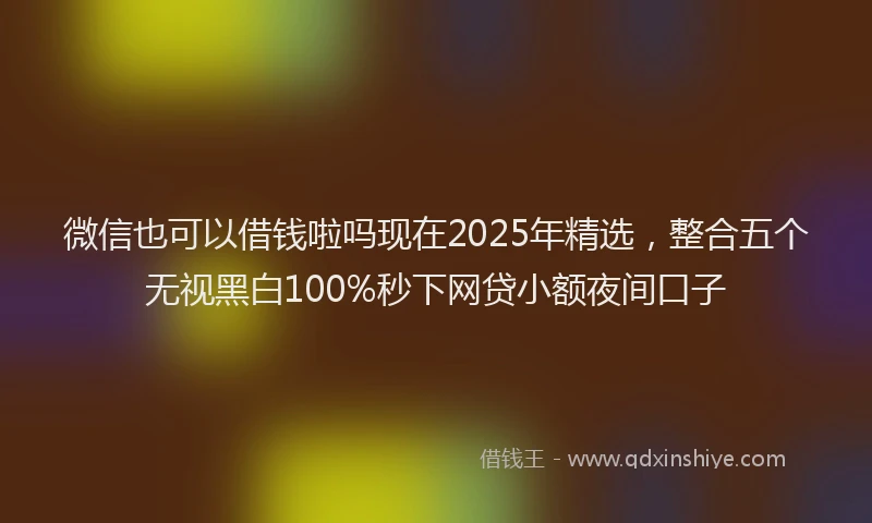 微信也可以借钱啦吗现在2025年精选，整合五个无视黑白100%秒下网贷小额夜间口子