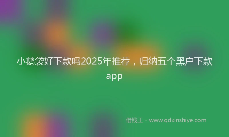 小鹅袋好下款吗2025年推荐，归纳五个黑户下款app