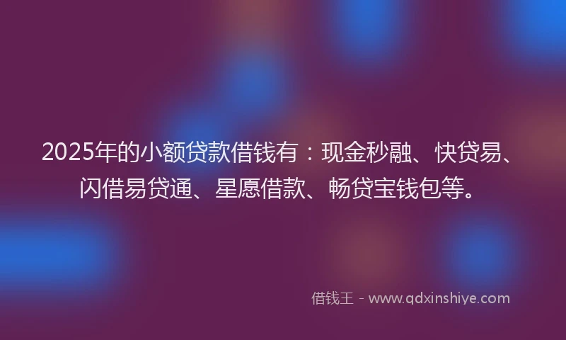 2025年的小额贷款借钱有：现金秒融、快贷易、闪借易贷通、星愿借款、畅贷宝钱包等。