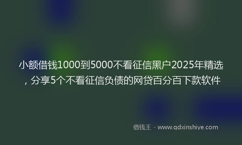 小额借钱1000到5000不看征信黑户2025年精选，分享5个不看征信负债的网贷百分百下款软件