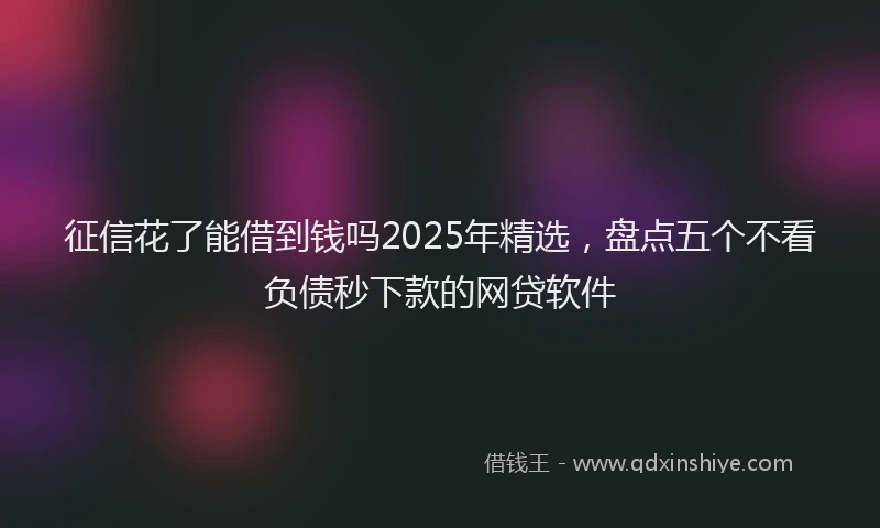 征信花了能借到钱吗2025年精选，盘点五个不看负债秒下款的网贷软件