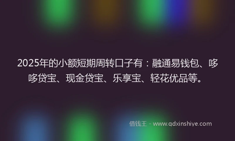 2025年的小额短期周转口子有：融通易钱包、哆哆贷宝、现金贷宝、乐享宝、轻花优品等。