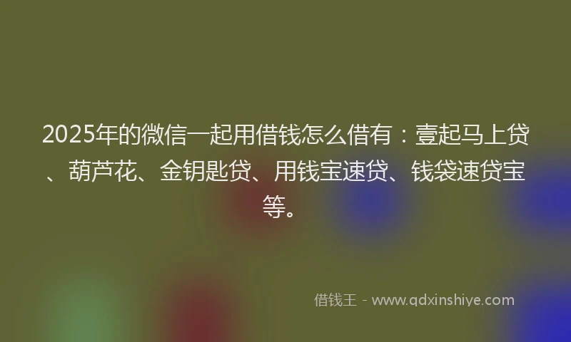 2025年的微信一起用借钱怎么借有：壹起马上贷、葫芦花、金钥匙贷、用钱宝速贷、钱袋速贷宝等。