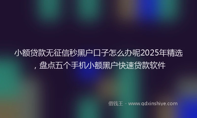 小额贷款无征信秒黑户口子怎么办呢2025年精选，盘点五个手机小额黑户快速贷款软件