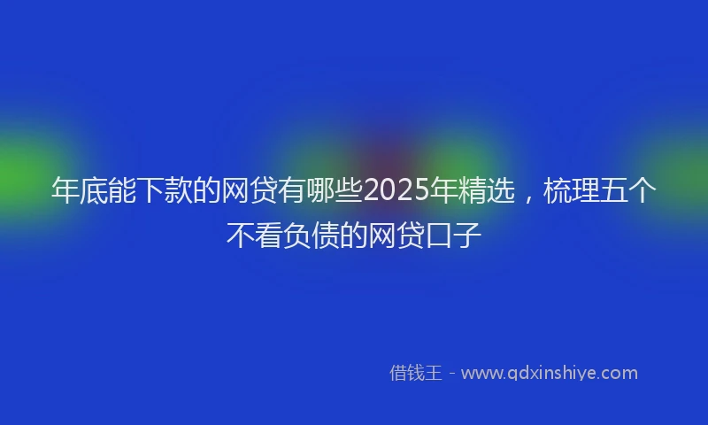 年底能下款的网贷有哪些2025年精选，梳理五个不看负债的网贷口子