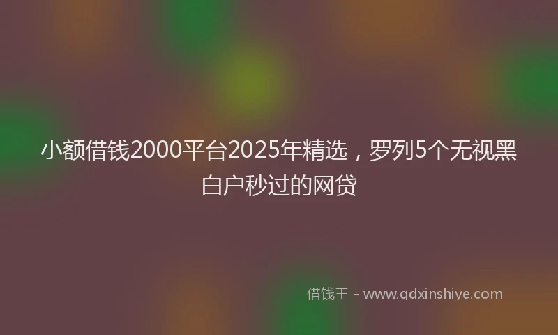小额借钱2000平台2025年精选，罗列5个无视黑白户秒过的网贷