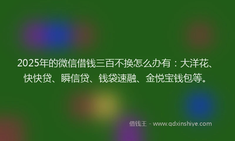 2025年的微信借钱三百不换怎么办有：大洋花、快快贷、瞬信贷、钱袋速融、金悦宝钱包等。