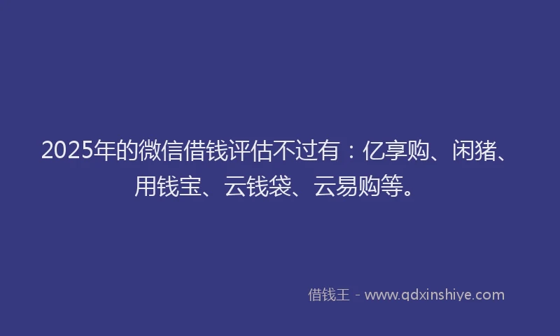 2025年的微信借钱评估不过有：亿享购、闲猪、用钱宝、云钱袋、云易购等。