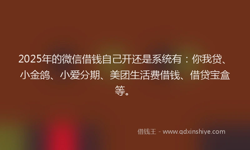 2025年的微信借钱自己开还是系统有：你我贷、小金鸽、小爱分期、美团生活费借钱、借贷宝盒等。