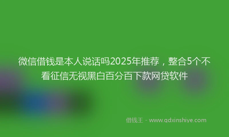 微信借钱是本人说话吗2025年推荐，整合5个不看征信无视黑白百分百下款网贷软件