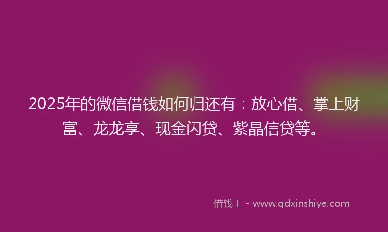 2025年的微信借钱如何归还有：放心借、掌上财富、龙龙享、现金闪贷、紫晶信贷等。
