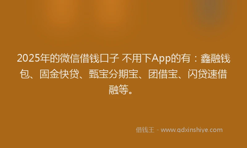 2025年的微信借钱口子 不用下App的有：鑫融钱包、固金快贷、甄宝分期宝、团借宝、闪贷速借融等。