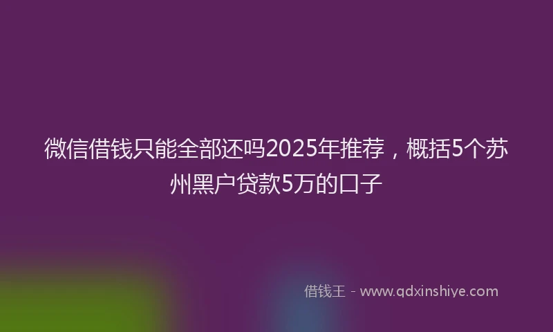 微信借钱只能全部还吗2025年推荐，概括5个苏州黑户贷款5万的口子