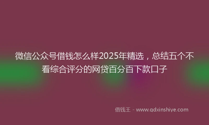 微信公众号借钱怎么样2025年精选，总结五个不看综合评分的网贷百分百下款口子