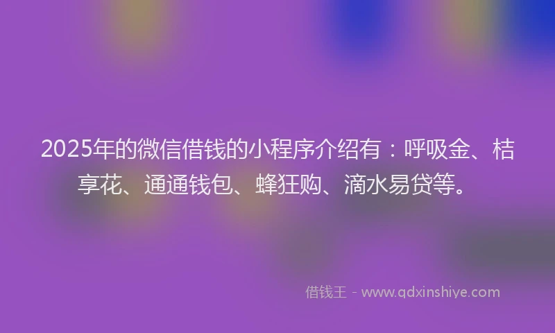 2025年的微信借钱的小程序介绍有：呼吸金、桔享花、通通钱包、蜂狂购、滴水易贷等。