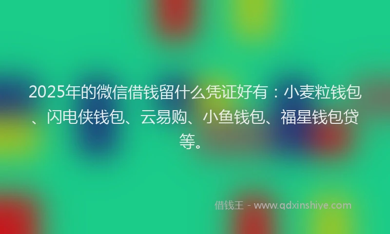 2025年的微信借钱留什么凭证好有：小麦粒钱包、闪电侠钱包、云易购、小鱼钱包、福星钱包贷等。