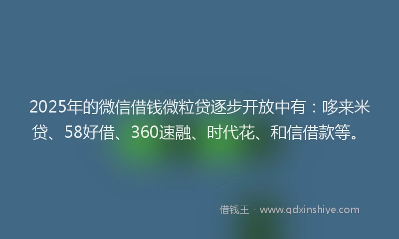 2025年的微信借钱微粒贷逐步开放中有：哆来米贷、58好借、360速融、时代花、和信借款等。