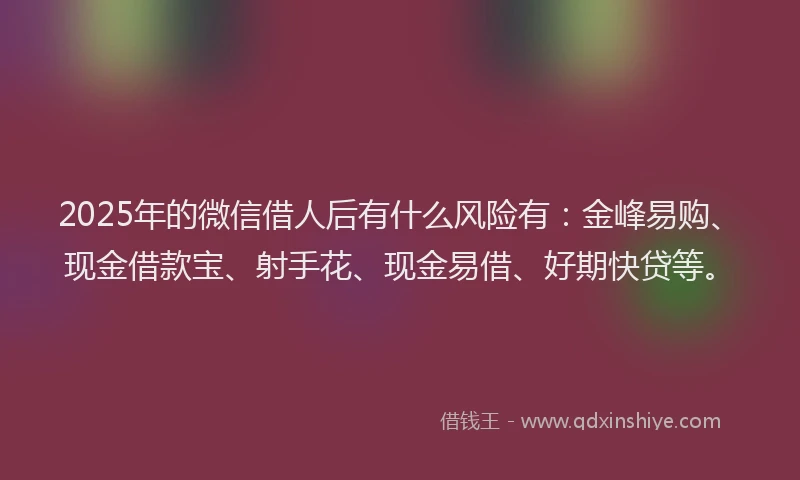 2025年的微信借人后有什么风险有：金峰易购、现金借款宝、射手花、现金易借、好期快贷等。
