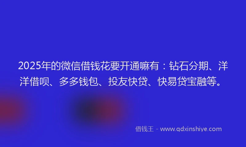 2025年的微信借钱花要开通嘛有：钻石分期、洋洋借呗、多多钱包、投友快贷、快易贷宝融等。