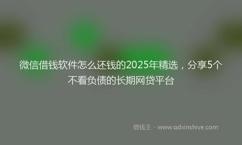 微信借钱软件怎么还钱的2025年精选，分享5个不看负债的长期网贷平台